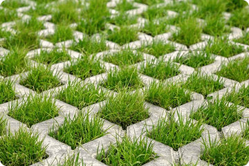 Grass pavers